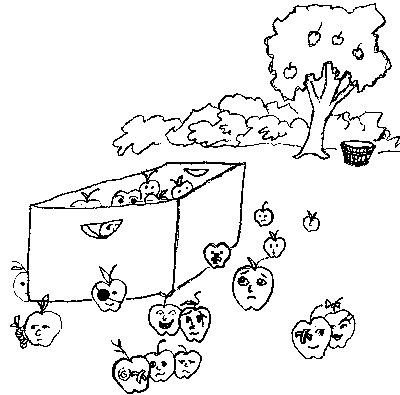 Selected apples in His box