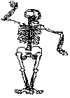 Dead mens bones