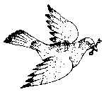 Dove